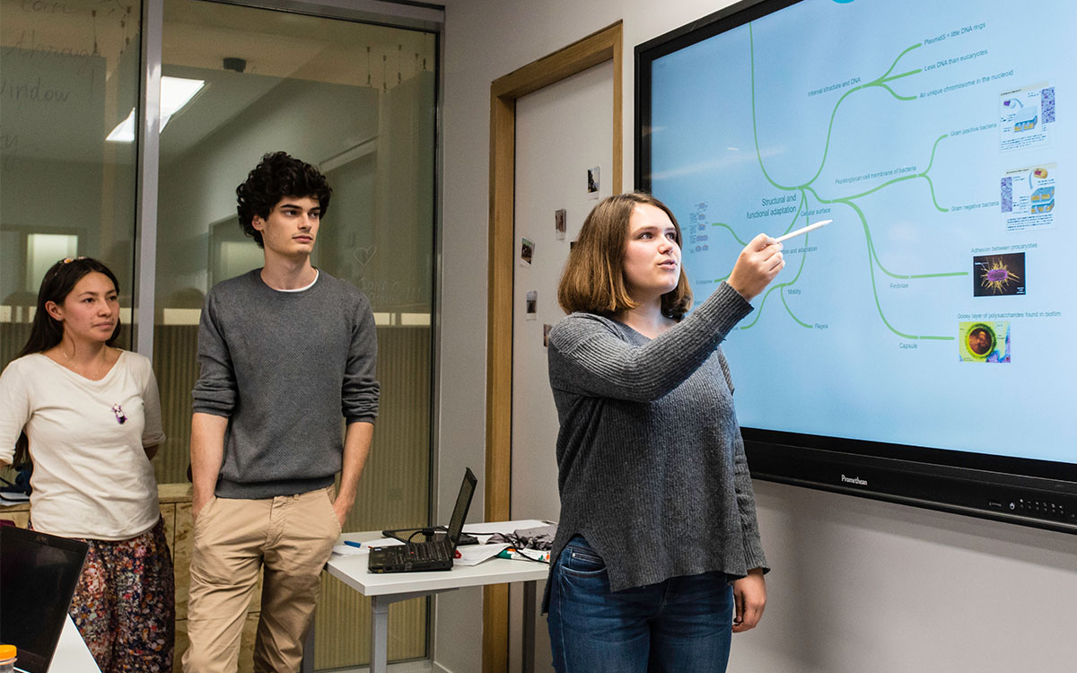 Tout savoir sur l&rsquo;apprentissage